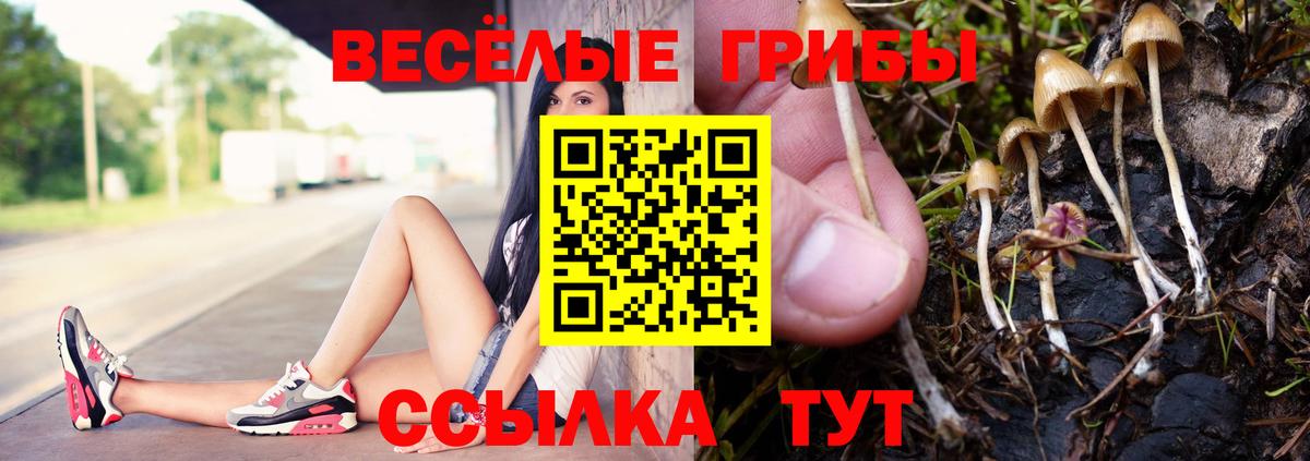 A-PVP Железногорск