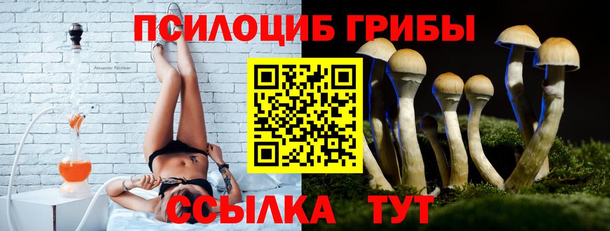 Псилоцибиновые грибы прущие грибы  Вход с VPN  Железногорск  Псилоцибиновые грибы Psilocybine cubensis 